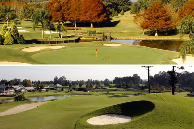 curitibano e alfavile montag