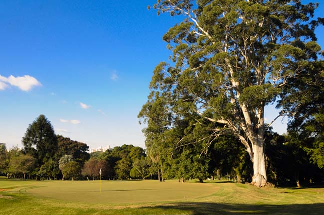 Porto Alegre CC vista 18 648