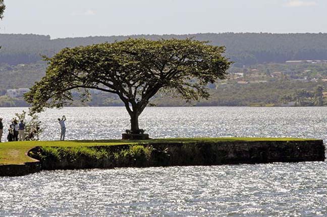 vista Brasilia tee do 16