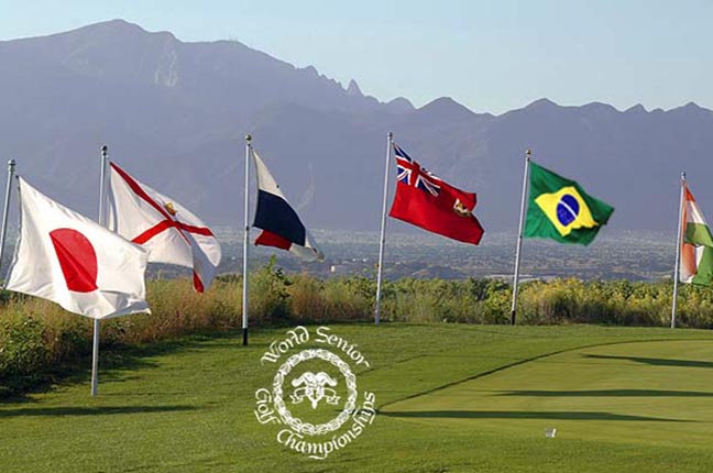 bandeiras mundial com logo