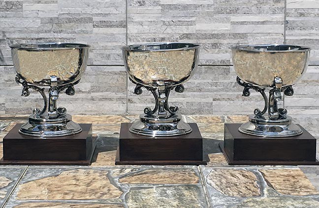 tacas-brasilerio-senior-650