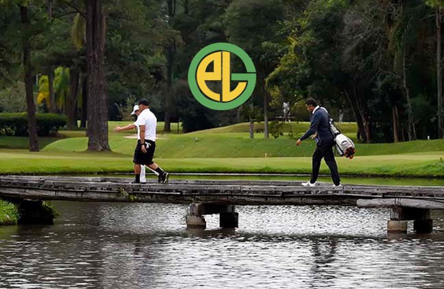 pl-vista-ponte-com-logo-650