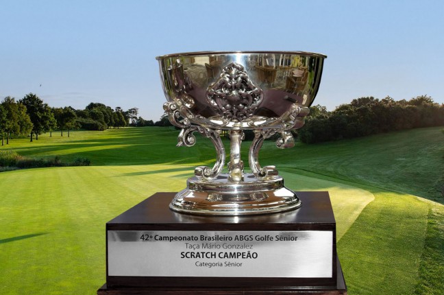 taca-brasileiro-senior-campo-generico